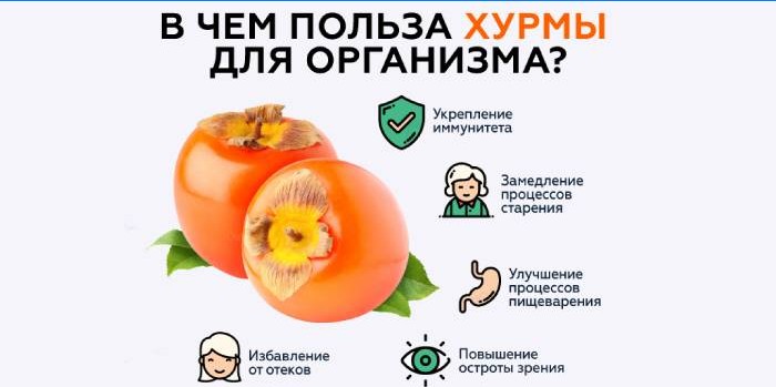 Användbara egenskaper av persimmoner för kroppen