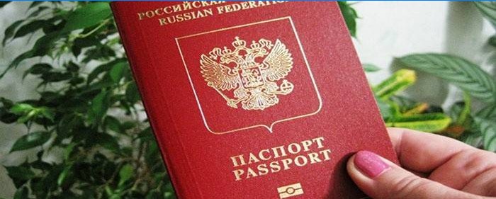 Ryska pass