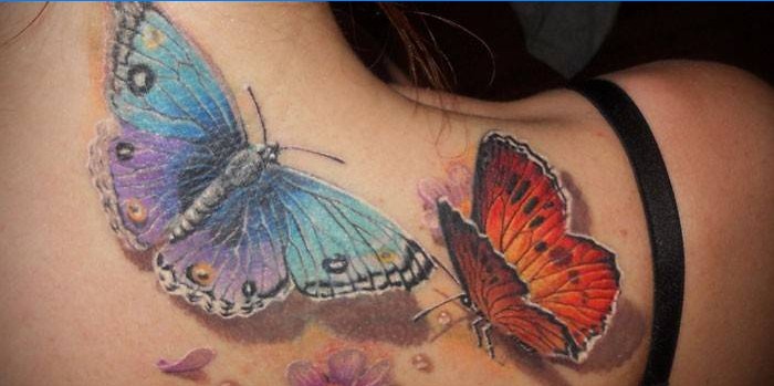 Butterfly tatuering