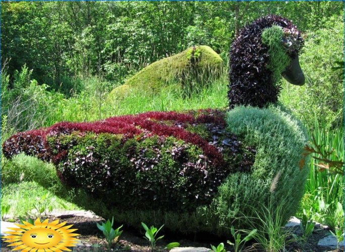 Topiary - skulpturer från buskar och träd