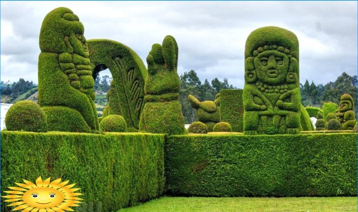 Topiary - skulpturer från buskar och träd