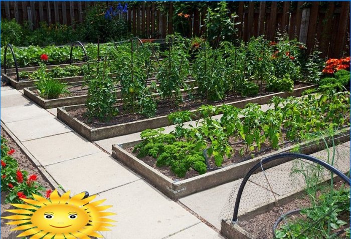 Trädgårdslayout - gör dig redo att plantera grönsaker i sängarna