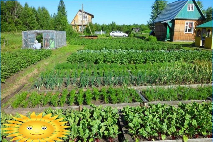 Trädgårdslayout - gör dig redo att plantera grönsaker i sängarna