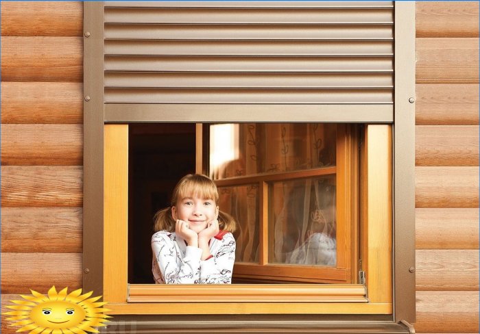 Alutech: hur man väljer fönsterluckor för hem- och sommarstugor