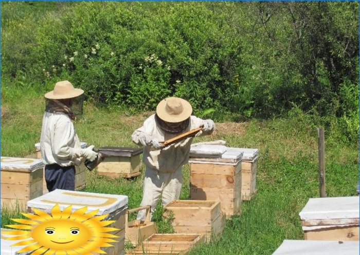 Bikupa och bin som trädgårdsdekoration