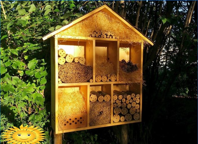 Hus för bin