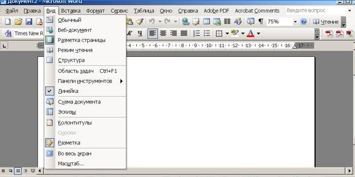 MS Word 2003-programfönster