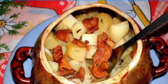 Potatis med svamp i en kruka