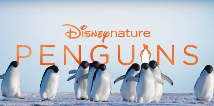 Disneynature pingviner
