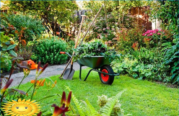 Trädgårdsmästare och trädgårdsmästarkalender: vårarbetsschema