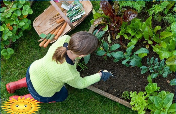 Trädgårdsmästare och trädgårdsmästarkalender: vårarbetsschema