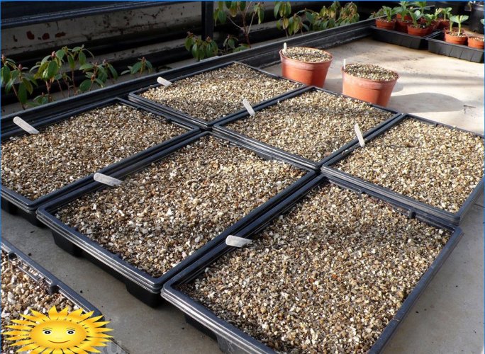 Agrovermiculite för växter