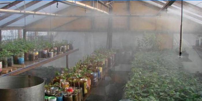 bevattningssystem för växthusregn