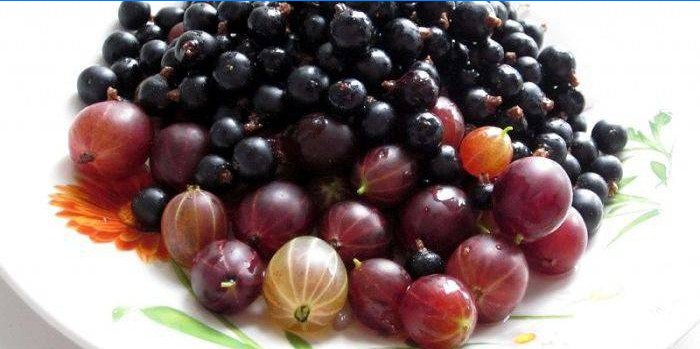 Kompott med krusbär och svarta vinbär