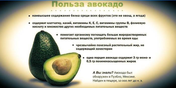 Fördelarna med avokado