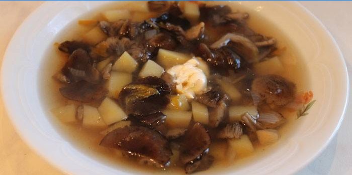 Potatis soppa med färska svampar