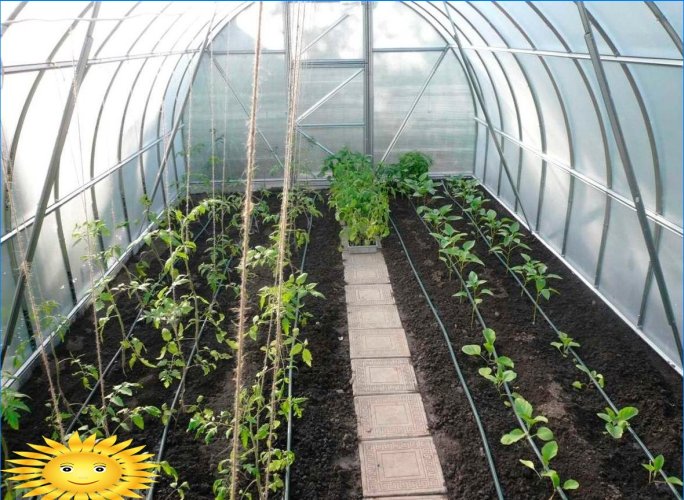 Hur man gör ett växthus så bekvämt som möjligt för arbetet