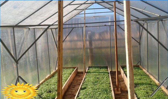 Hur man gör ett växthus så bekvämt som möjligt för arbetet