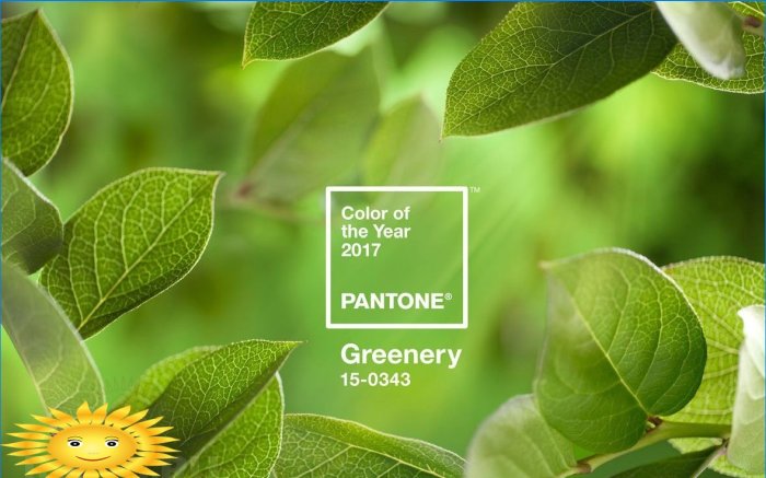 Interiörfärg: Greenery - Årets färg 2017 av Pantone Color Institute