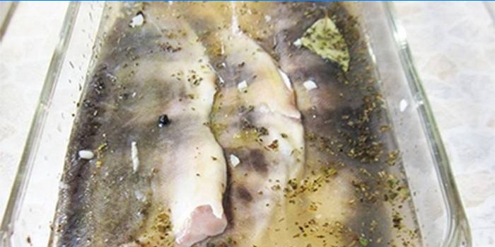 Slaktkroppar av fisk under en vit marinad