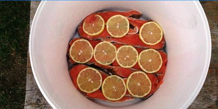 Röd fisk under marinaden med citron