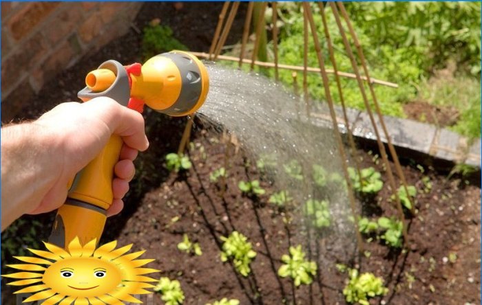Automatisk trädgårdsbevattningssystem
