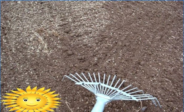 Morisk gräsmatta - en konstgjord blommande äng