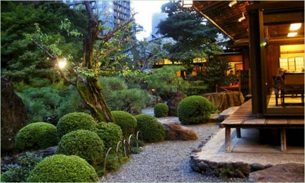 Japansk trädgård landskapsdesign